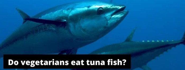 Why do some vegetarians eat fish